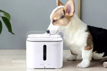xiaomi для животных